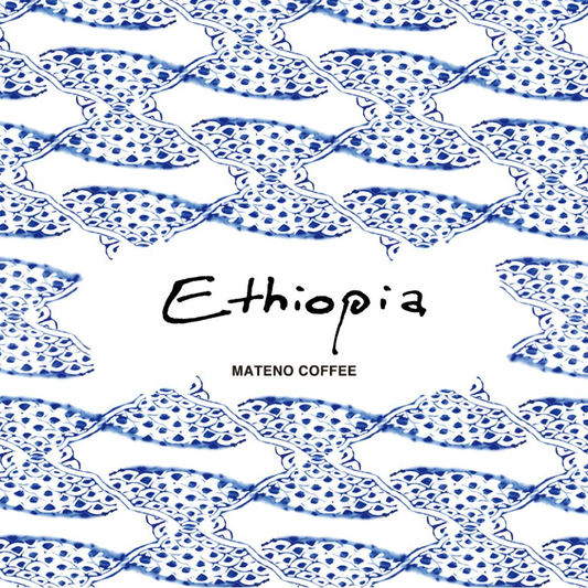 【LIGHT】Ethiopia Buku Magarrissa