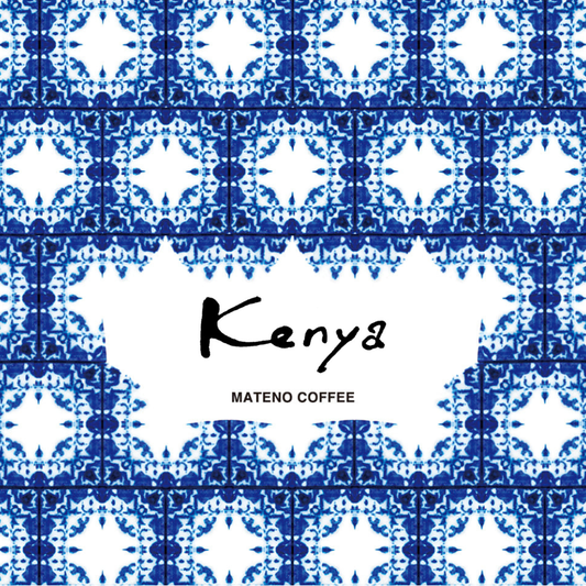 【LIGHT】Kenya Kaguyu AA