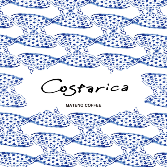 【LIGHT】Costa Rica La Candelilla Typica Natural