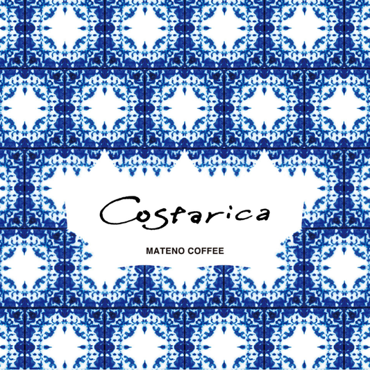 【LIGHT】Costa Rica La Candelilla Typica Natural