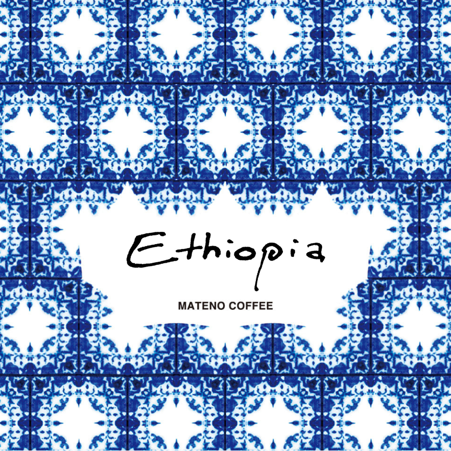 【LIGHT】Ethiopia Bildimoo Benti Nenka Natural